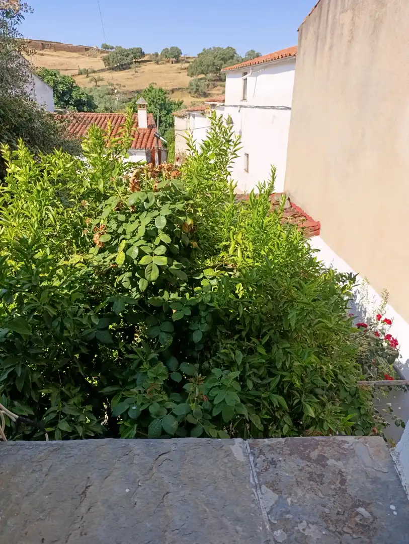 Houses for sale in Alcántara