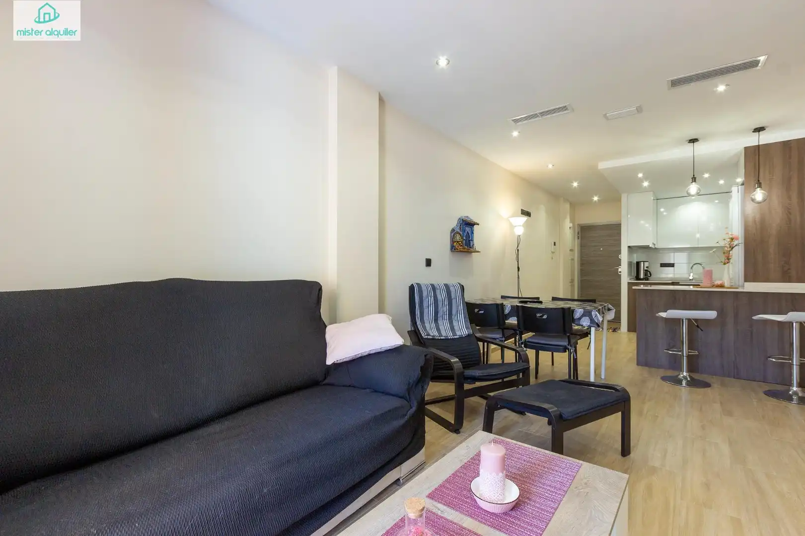 Sala de estar de Planta baja de alquiler en El Campello con Aire acondicionado, Calefacción y Jardín privado