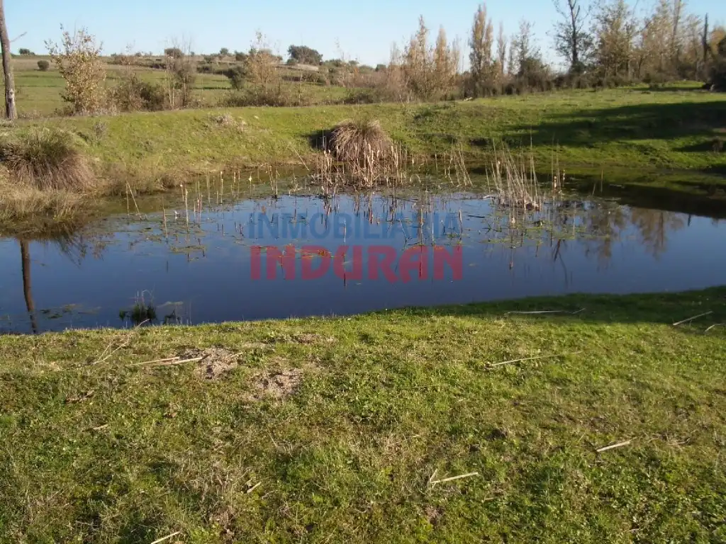Finca rústica en venta en Peraleda de la Mata