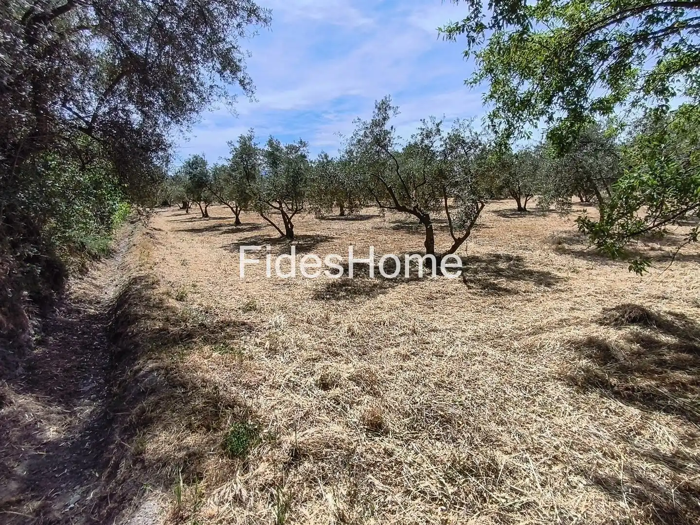 Rural land for sale in XFJ3+526 Nigüelas 0, imagen 26