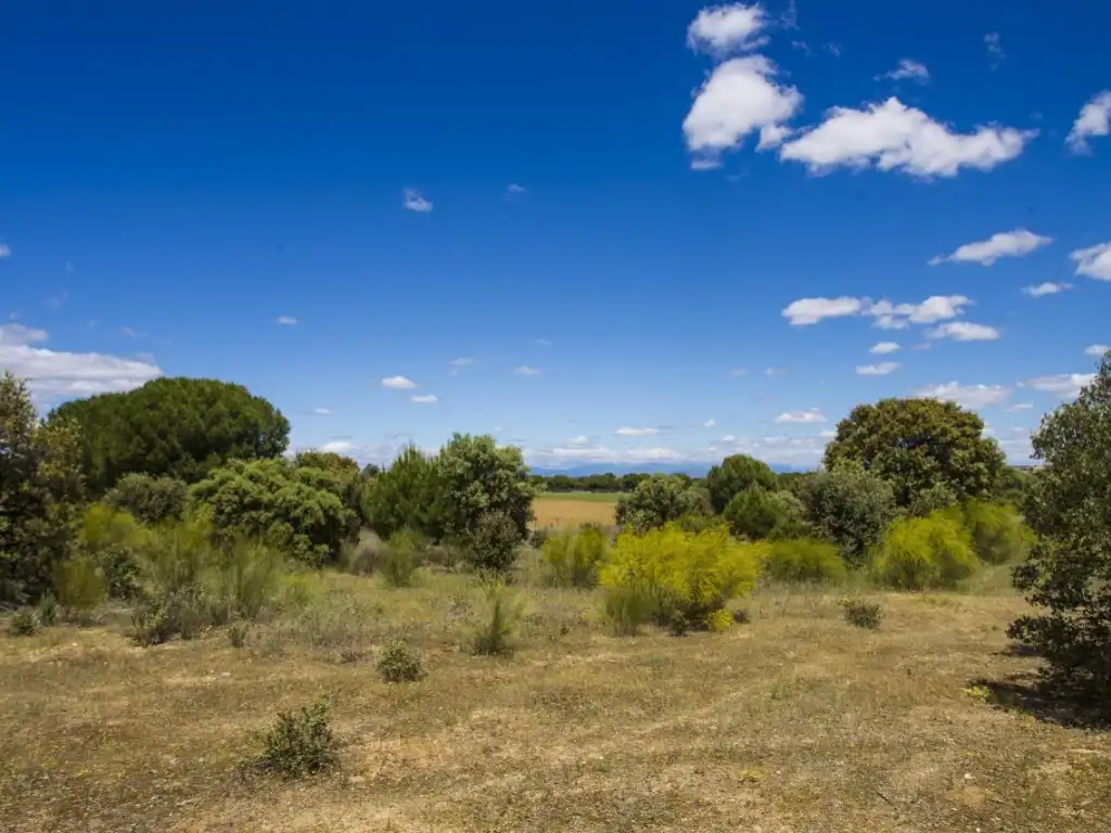 Finca rústica en venda en Navalcarnero