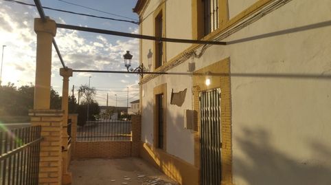 Foto 3 de Finca rústica en venta en Écija, Sevilla