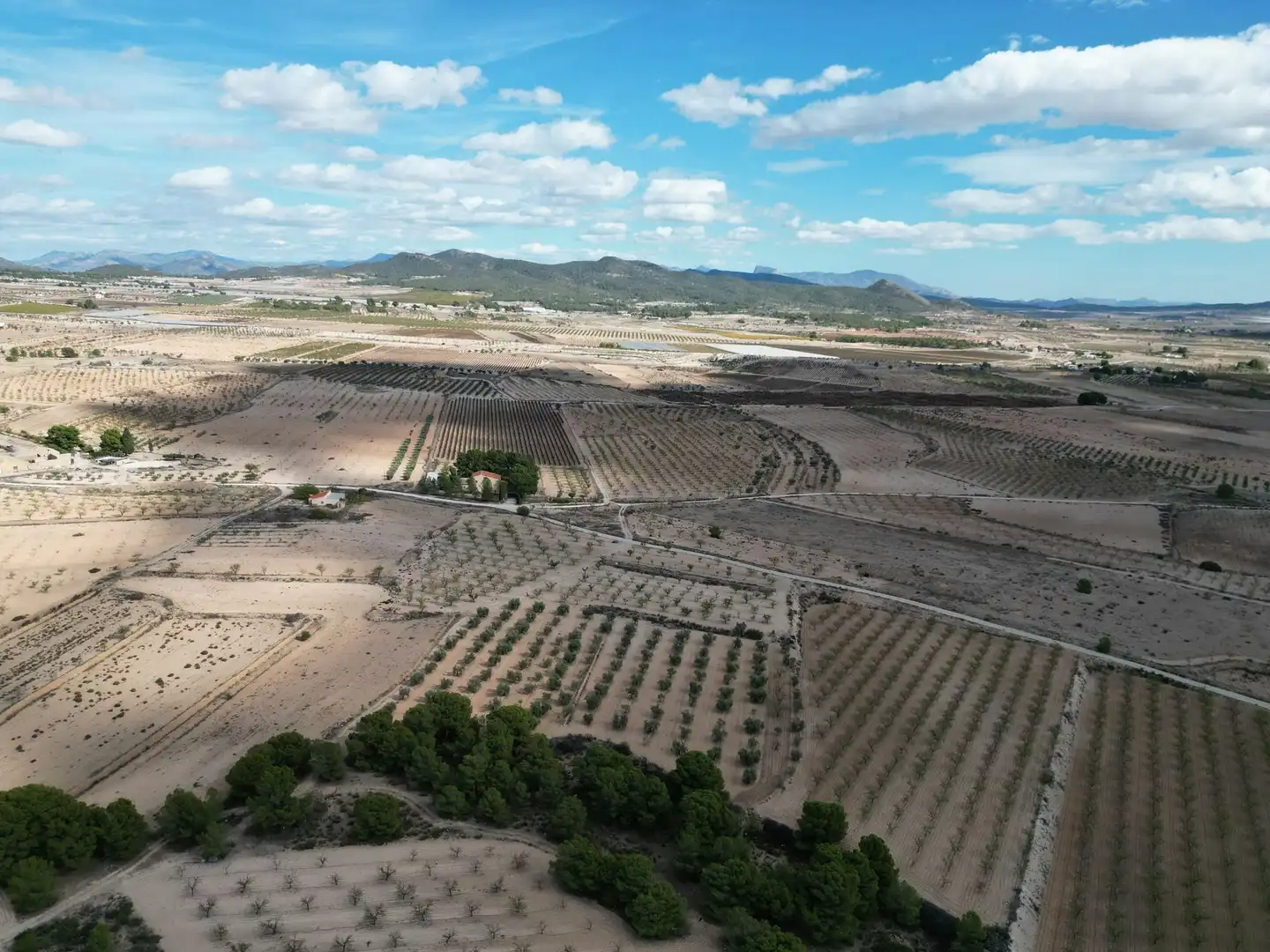 Terreno residencial en venta en El Pinós / Pinoso, imagen 4