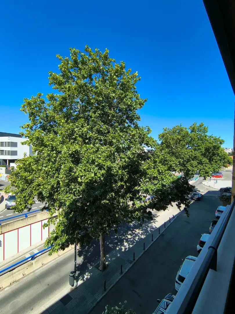 Vista exterior de Oficina en venda en Las Rozas de Madrid amb Aire condicionat i Terrassa