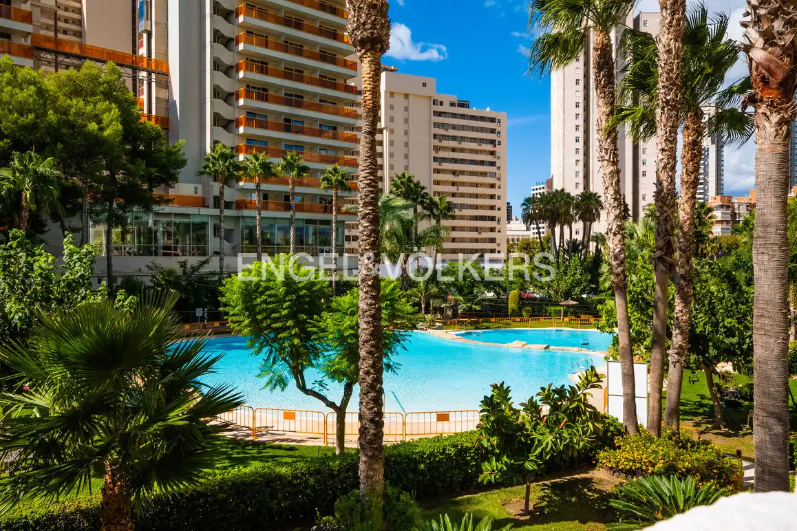 Vista exterior de Àtic en venda en Benidorm amb Aire condicionat, Jardí privat i Piscina comunitària