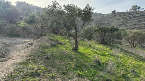 Foto 5 de Residencial en venda a Pago de Rioseco, -1, Chaparil - Torrecilla - Punta Lara, Nerja