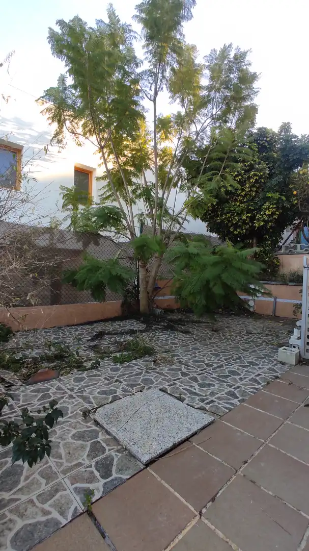 Jardín de Casa o chalet en venta en Creixell con Jardín privado, Terraza y Alarma