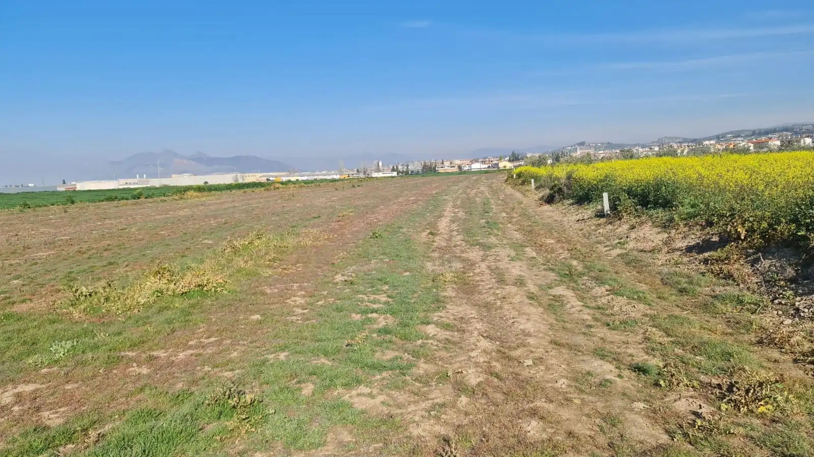 Rustikales Grundstück zum Verkauf in Avenida de Cartuja, imagen 7