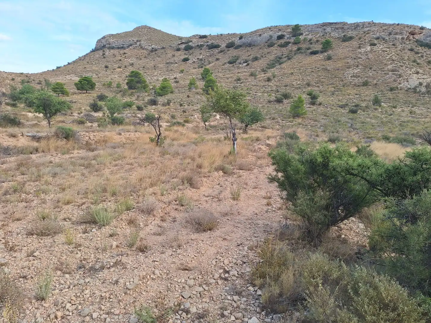 Country house zum Verkauf in Valle del Sol  