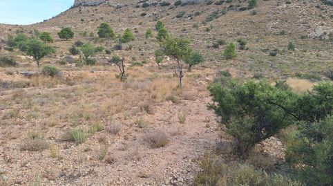 Foto 3 de Finca rústica en venda a Valle del Sol, Mutxamel