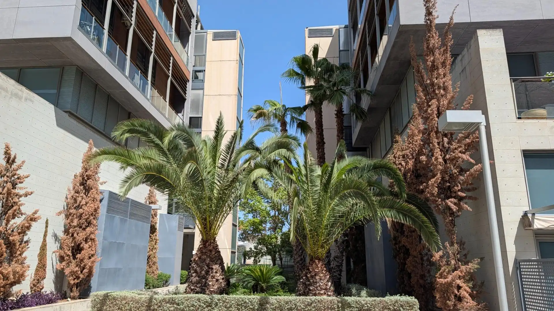 Loft mit Pool zum Verkauf in Calle Creu Roja 1, imagen 18