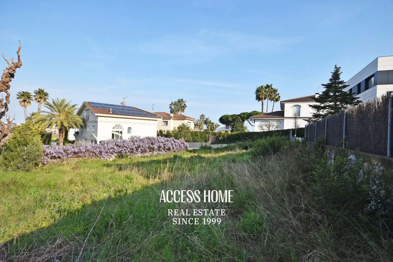 Rural land for sale in Alella, imagen 3