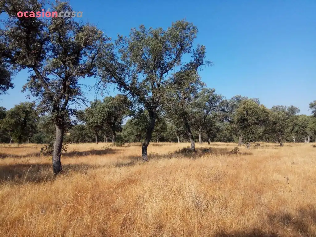 Country homes for sale in Torrecampo