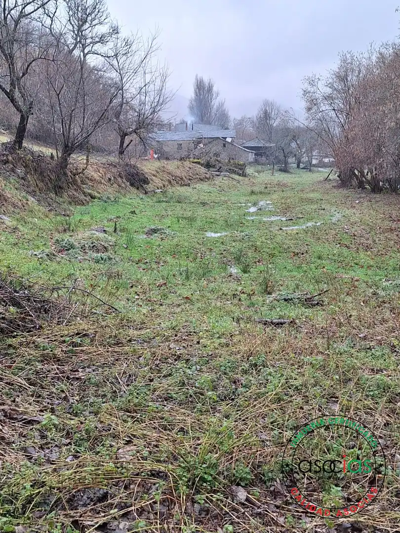 Casa o xalet en venda en Degaña