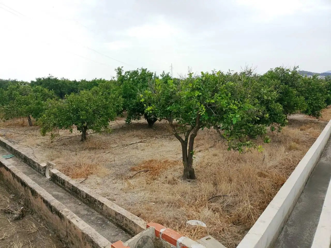 Terreny rústic en venda a Carretera Nazaret a Oliva 670, imagen 8