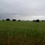 Rural land for sale in Topas, imagen 20