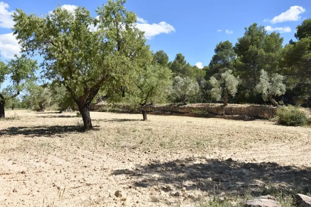 Casa rústica en venda a Torre del Compte, imagen 8