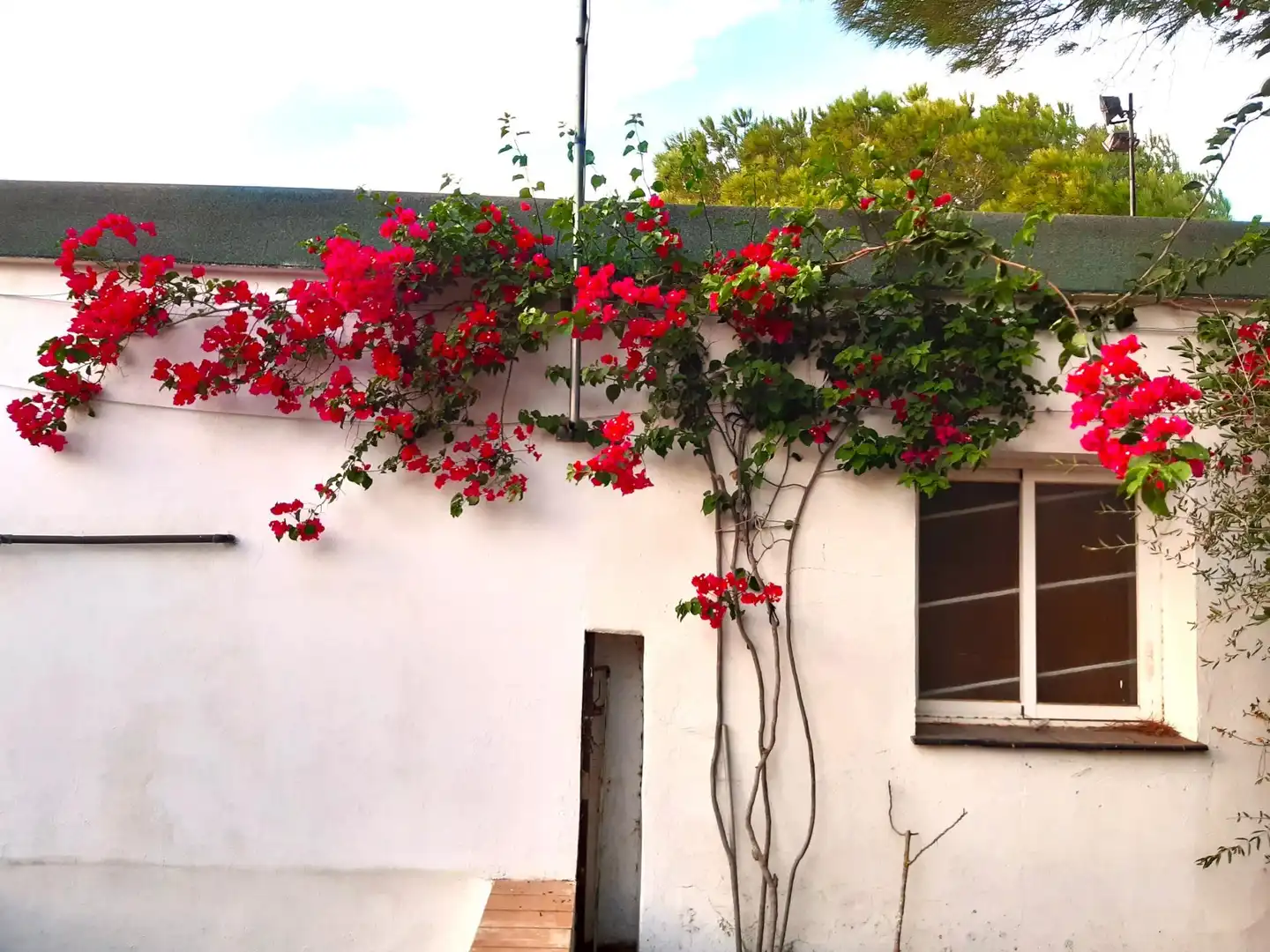 Vista exterior de Casa o chalet en venta en Puerto Real
