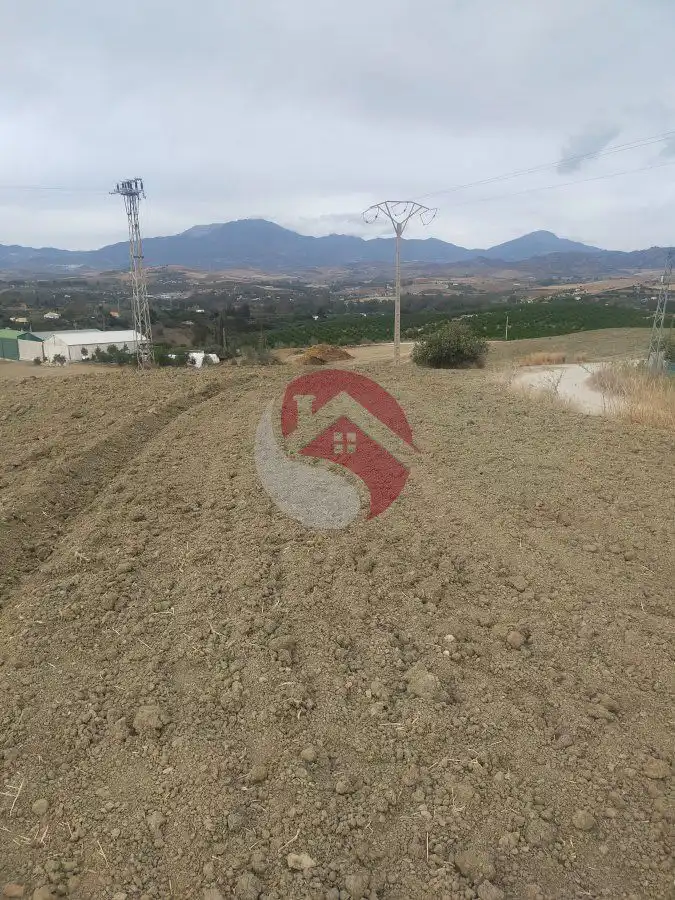 Terreno rústico en venta en Alquería - Torrealquería, imagen 5