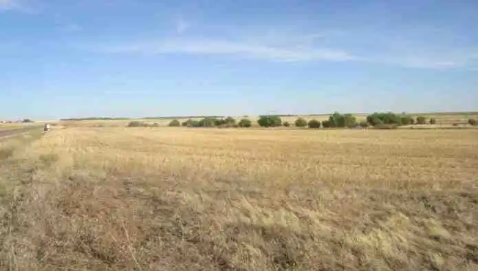 Terreno en venta en La Zarza (Valladolid)