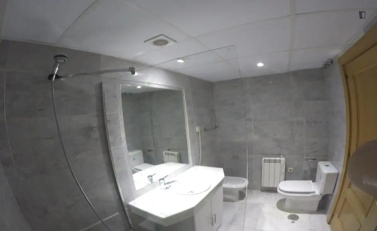 Bathroom of Study for rent in Madrid  with Furnished, Washing machine and Internet