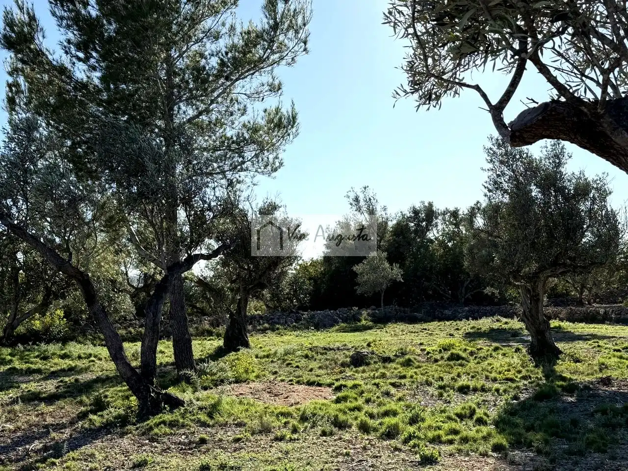 Terrenos y solares en venta en Arrivesando