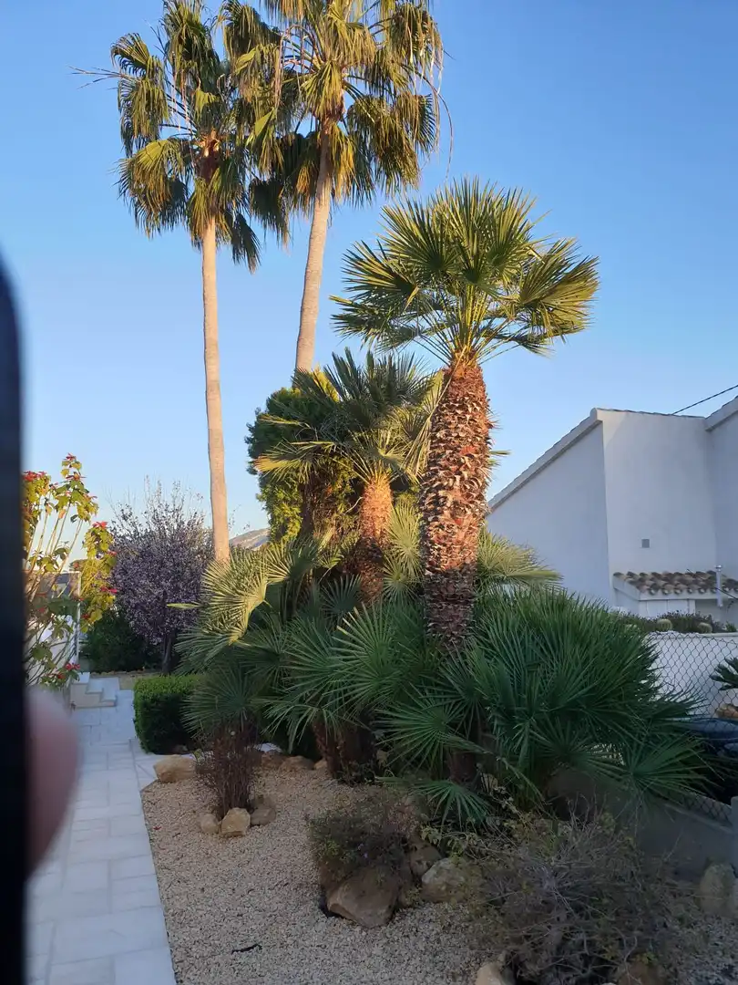 Außenansicht von Haus oder Chalet zum Verkauf in L'Alfàs del Pi mit Klimaanlage, Privatgarten und Terrasse
