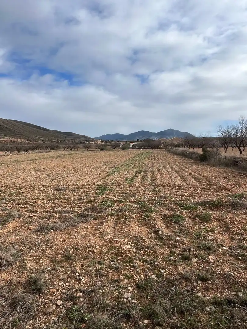 Residencial en venta en Hondón de los Frailes