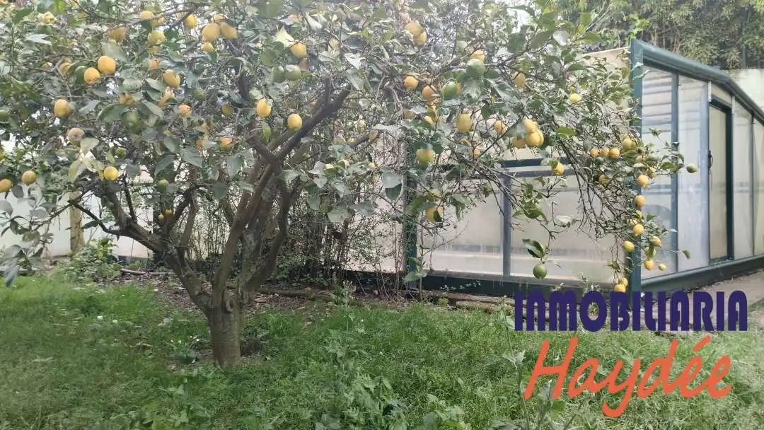 Casa o chalet en venta en Berango con Calefacción, Terraza y Trastero