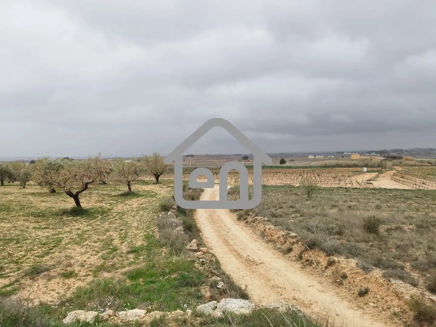 Rural land for sale in Requena, imagen 5