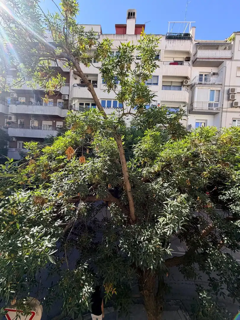 Piso en venta en Ronda, imagen 3