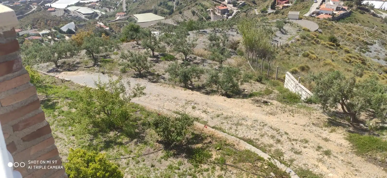 Casa rústica amb piscina en venda a Motril  ciudad, imagen 3