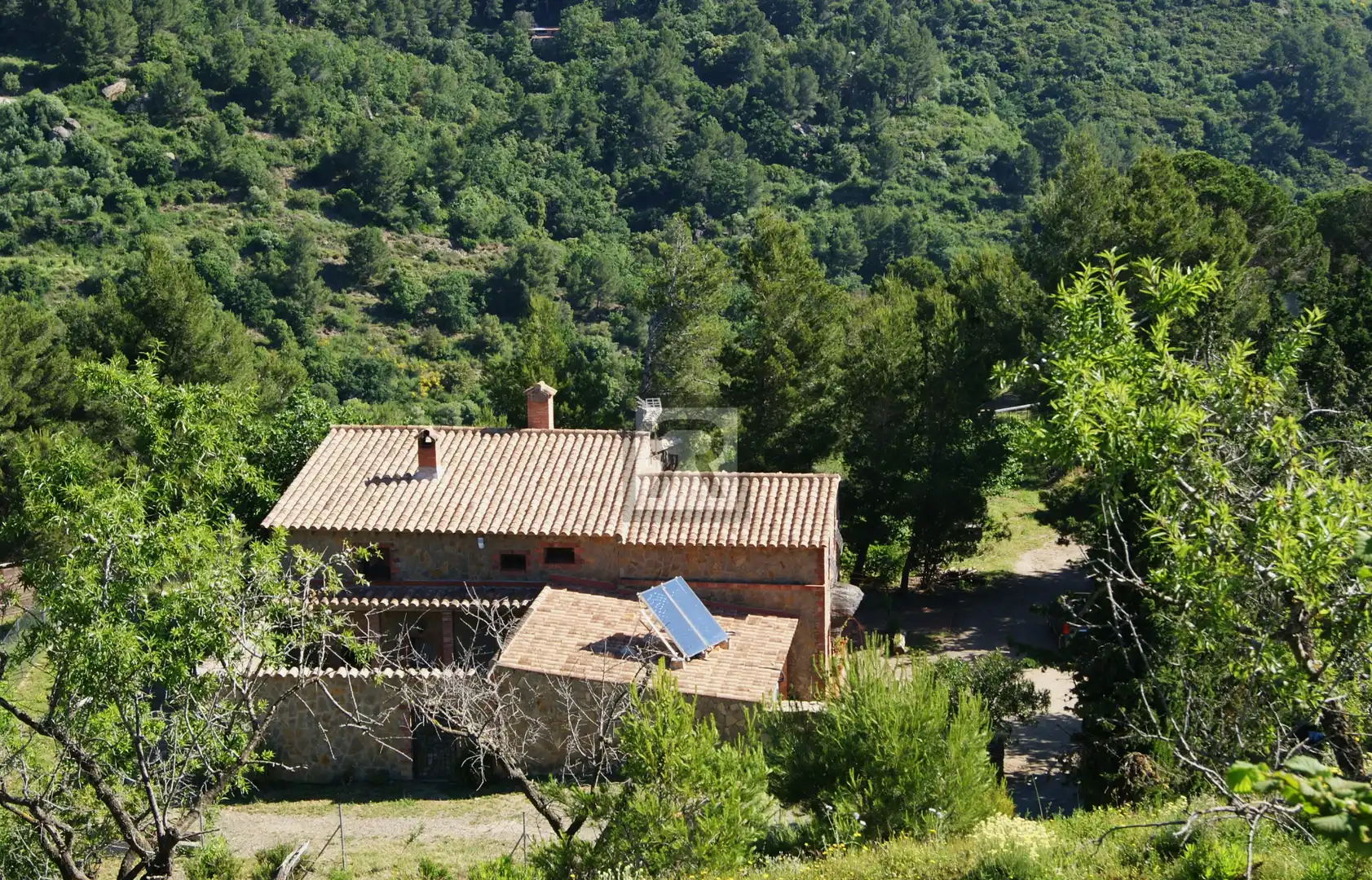 Vista exterior de Finca rústica en venta en L'Albiol con Calefacción, Jardín privado y Piscina