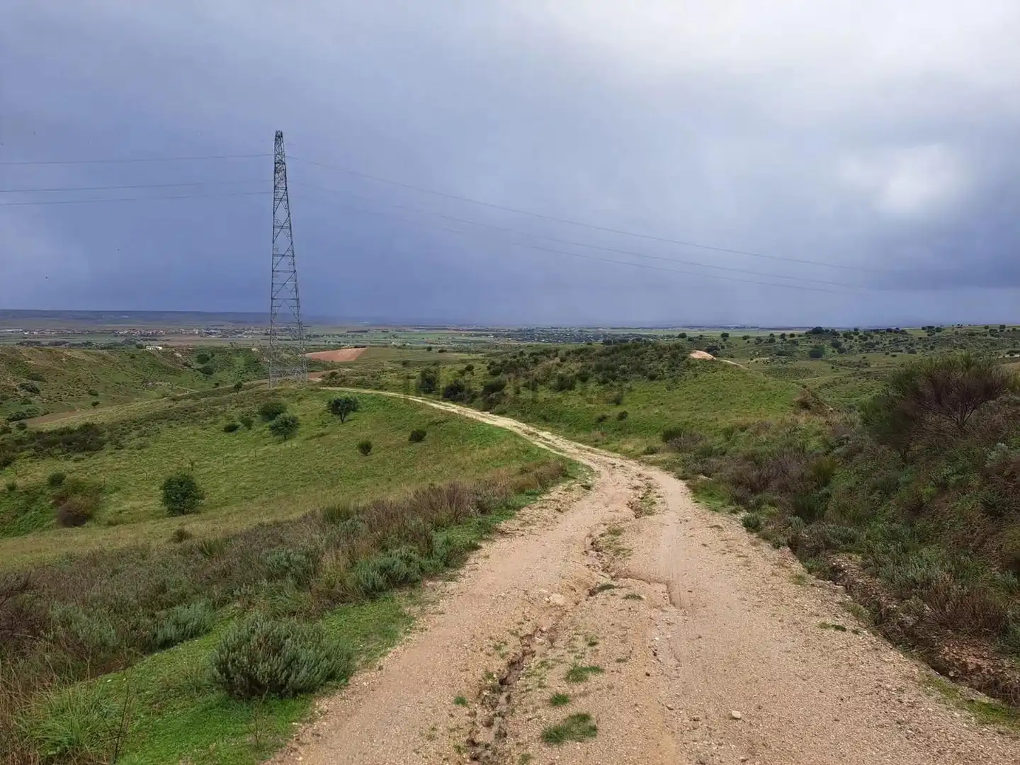 Terreny rústic en venda a Polígono Pol 8 Parcela 183 183, imagen 6
