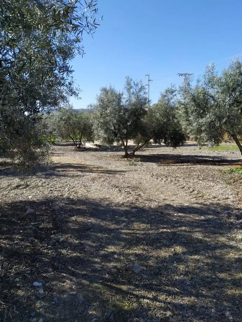 Residential zum Verkauf in N/A, Álora