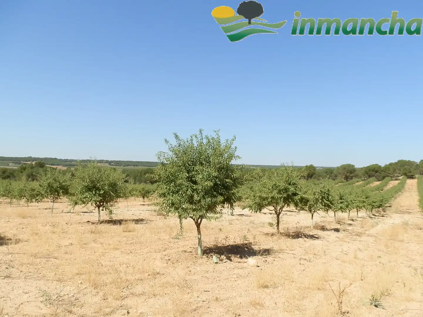 Rural land for sale in La Roda, imagen 14