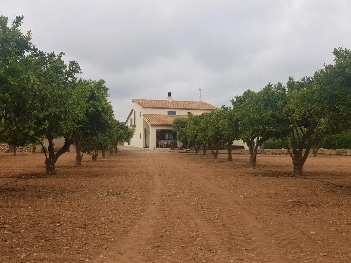 Vista exterior de Finca rústica en venda en Roda de Berà amb Aire condicionat, Calefacció i Jardí privat