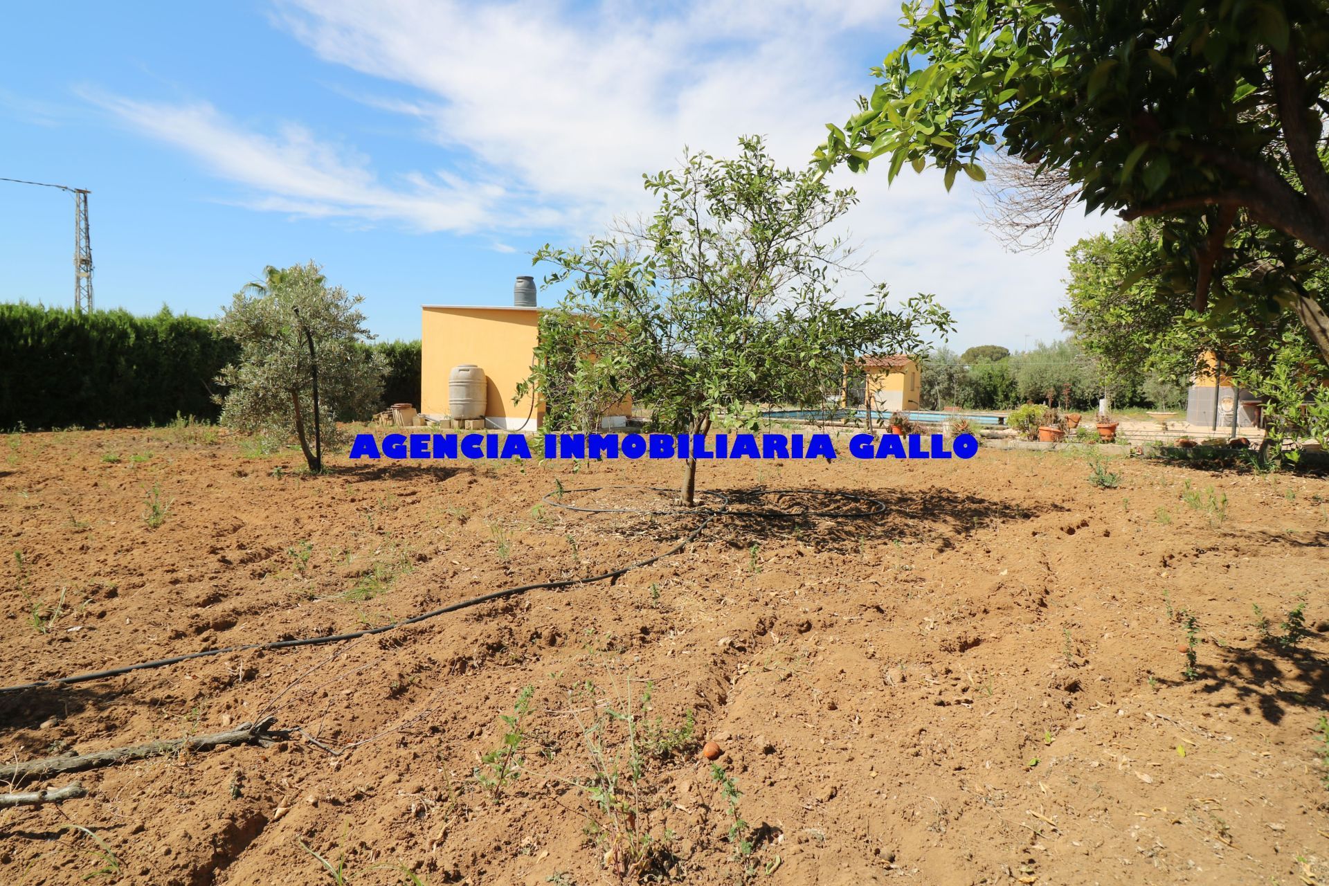 Casa o xalet en venda en Arahal amb Aire condicionat, Jardí privat i Traster