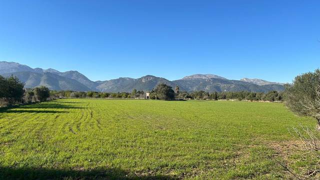 Terreno residencial en Venta en Selva
