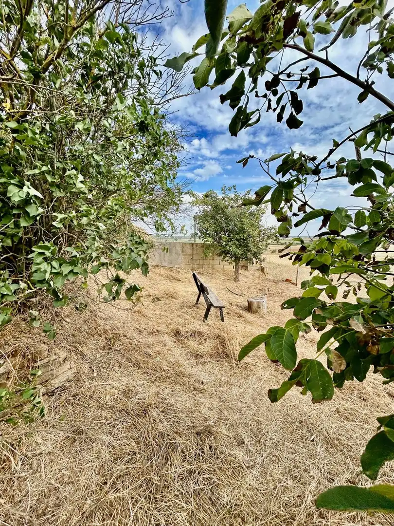 Country homes for sale in Cebrones del Río