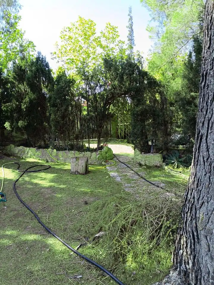 Jardí de Casa o xalet en venda en Zuera amb Jardí privat i Piscina comunitària