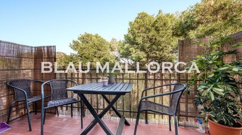 Foto 4 de Piso en venta en Porto Cristo, Manacor