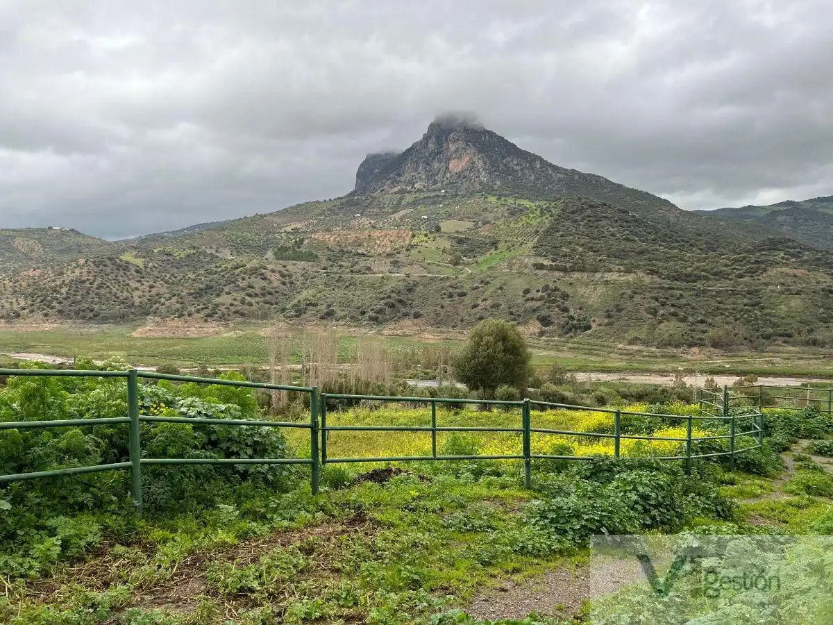 Country homes for sale in El Gastor