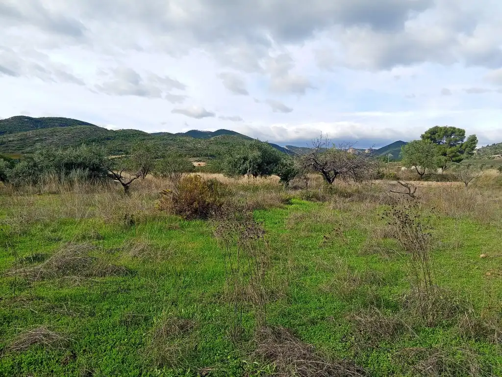 Country homes for sale in Calles