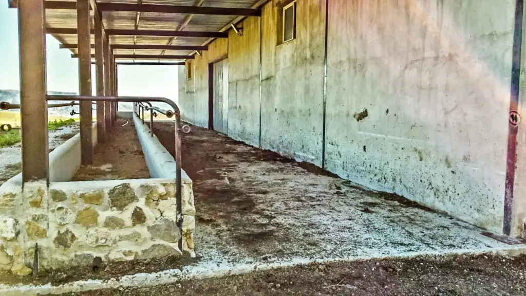 Casa rústica amb piscina en venda a Casarabonela, imagen 11