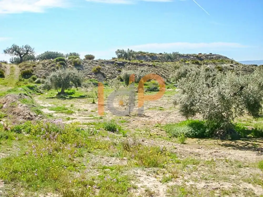 Terrain rustique à vendre à Huércal-Overa, imagen 3