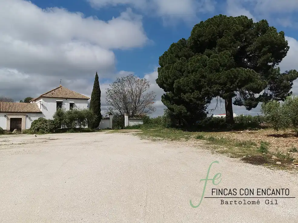 Finca rústica en venda en Marchena amb Aire condicionat, Terrassa i Piscina
