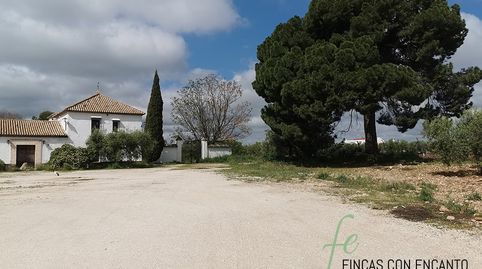Foto 2 de Finca rústica en venda a Marchena, Sevilla