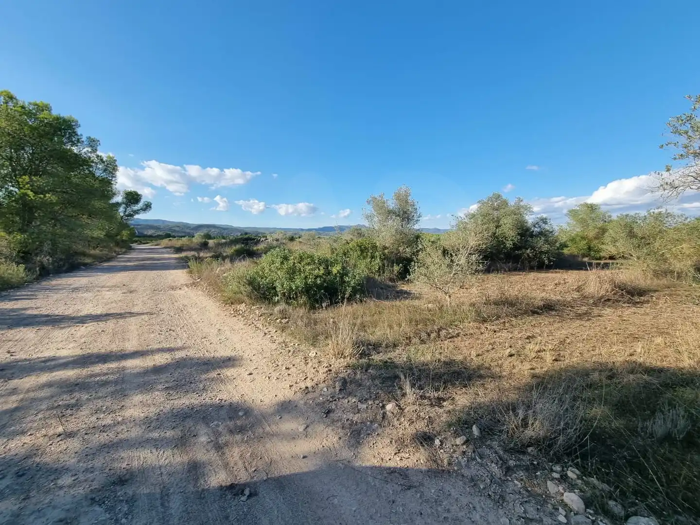 Grundstücke und Bauplätze zum Verkauf in poligono 14 parcela 31 Ginestar, imagen 15