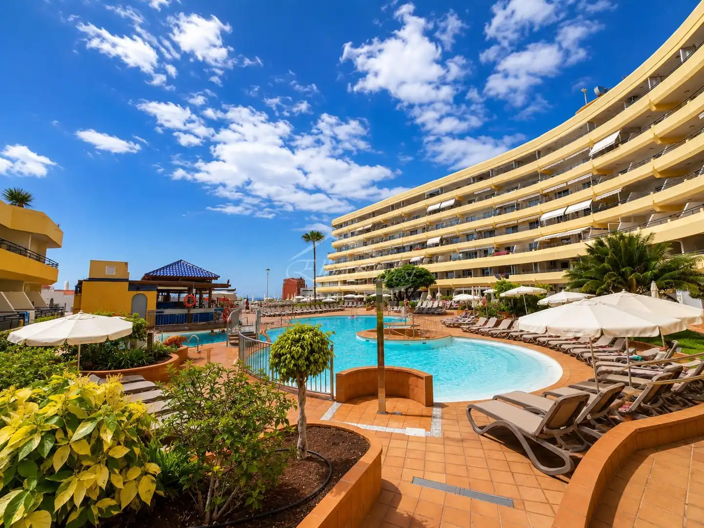 Swimming pool of Flat for sale in Adeje  with Terrace, Swimming Pool and Furnished